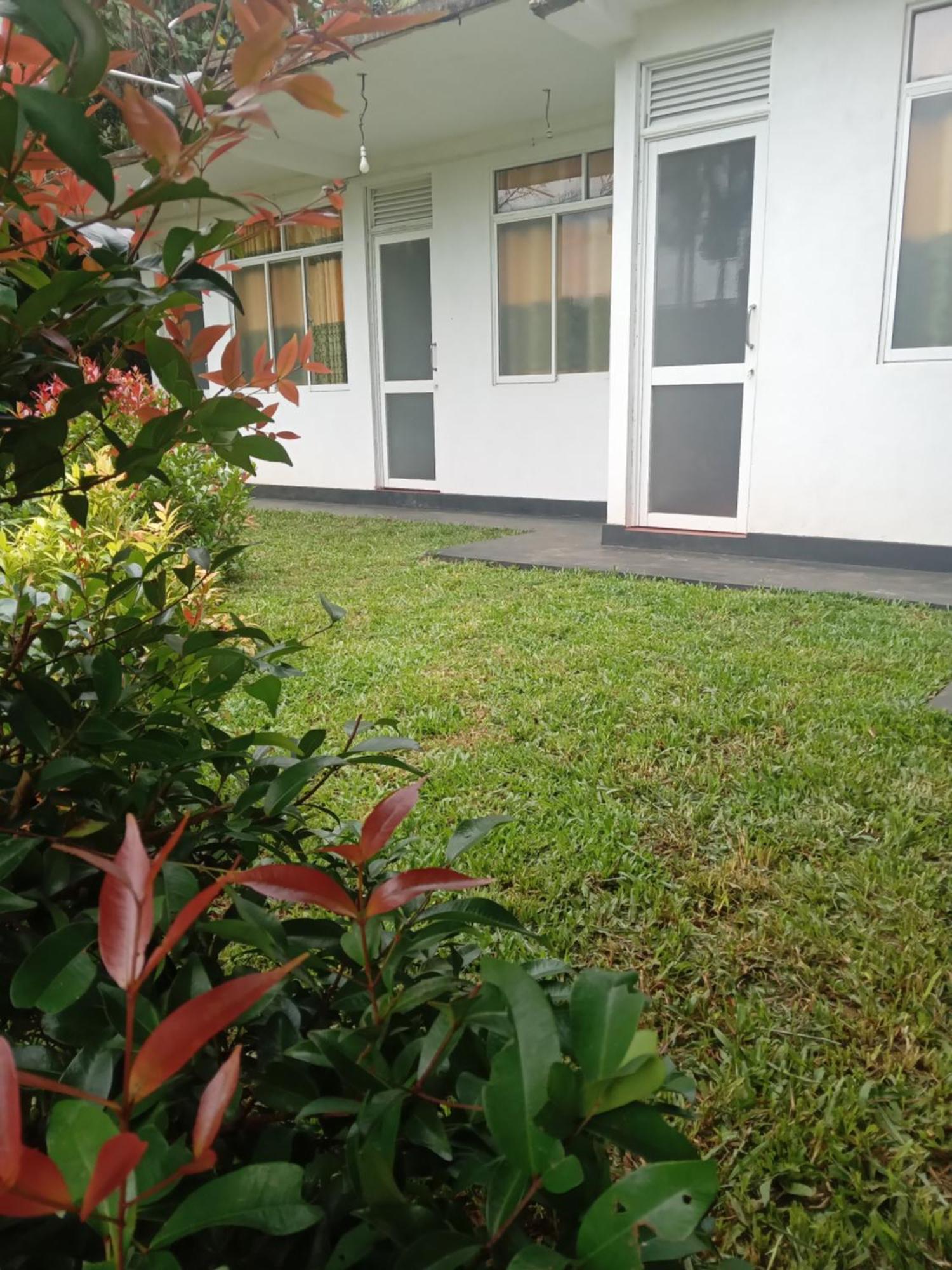 Rainforest Holiday Inn Deniyaya Dış mekan fotoğraf