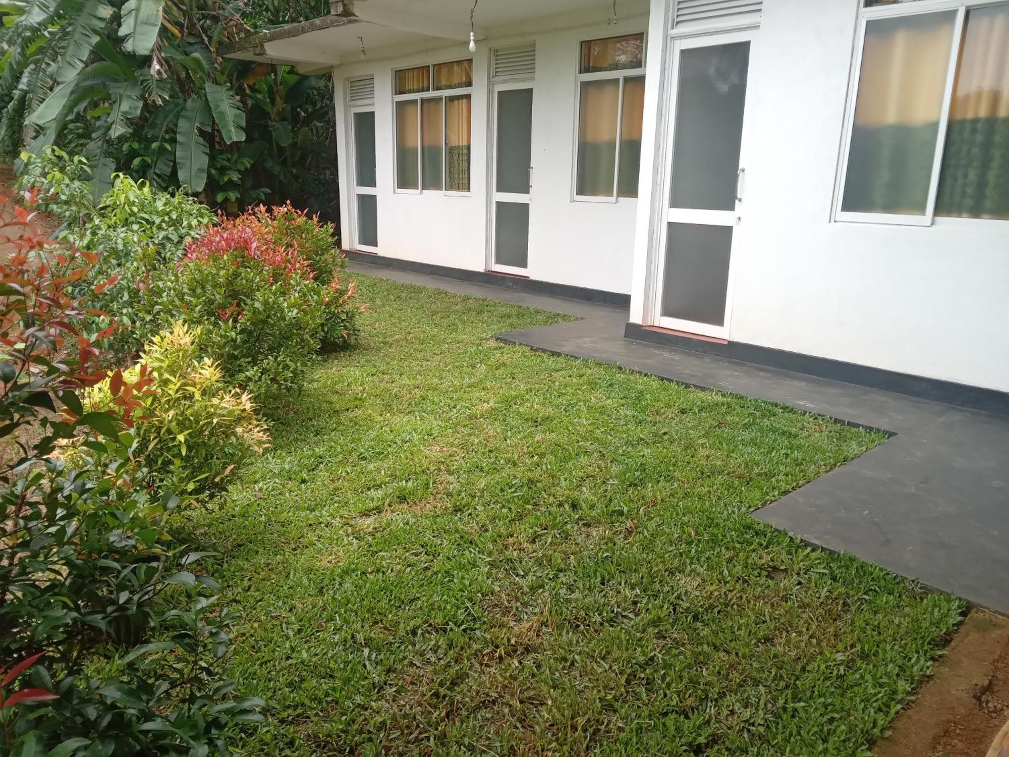 Rainforest Holiday Inn Deniyaya Dış mekan fotoğraf