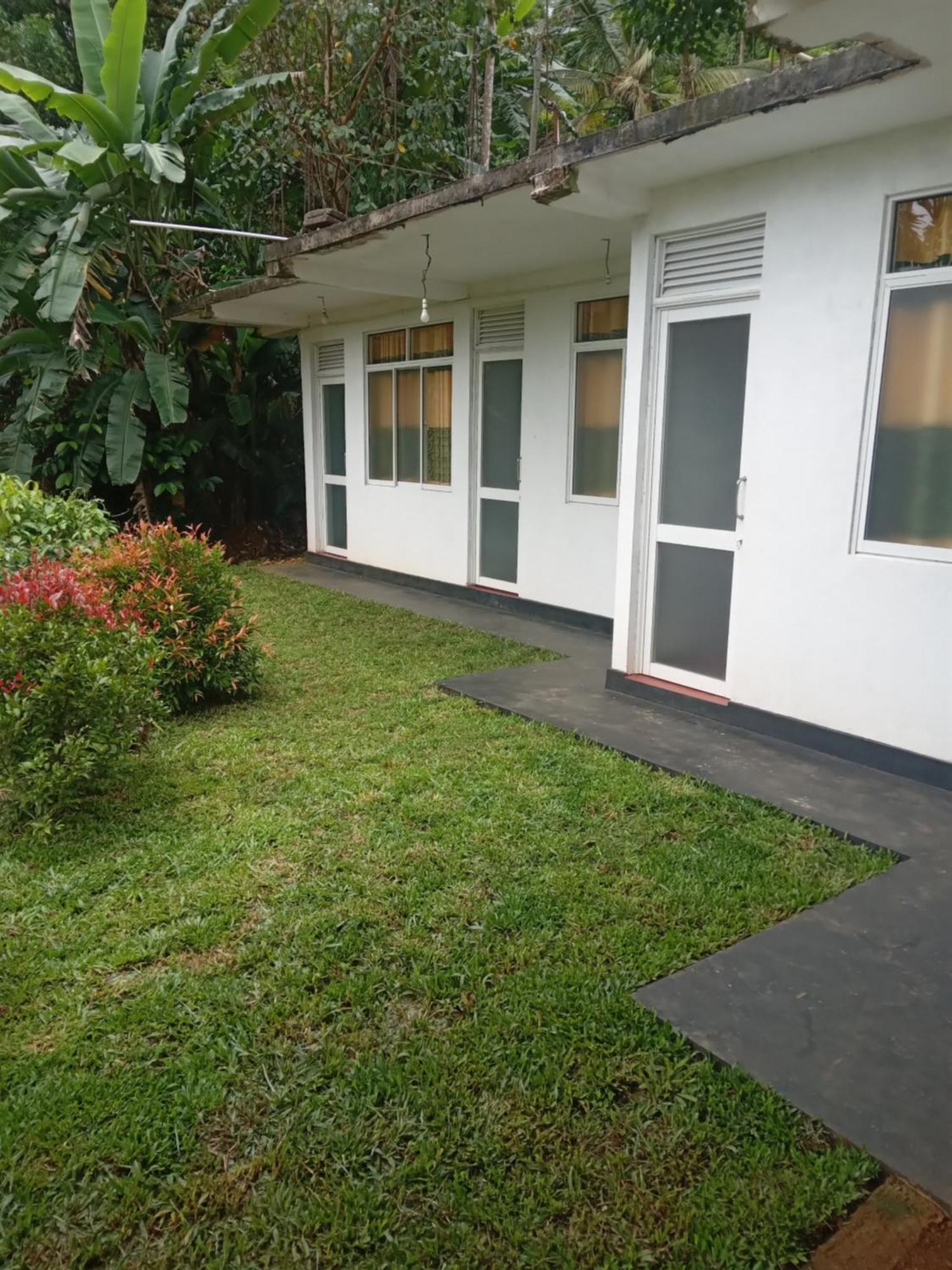 Rainforest Holiday Inn Deniyaya Dış mekan fotoğraf
