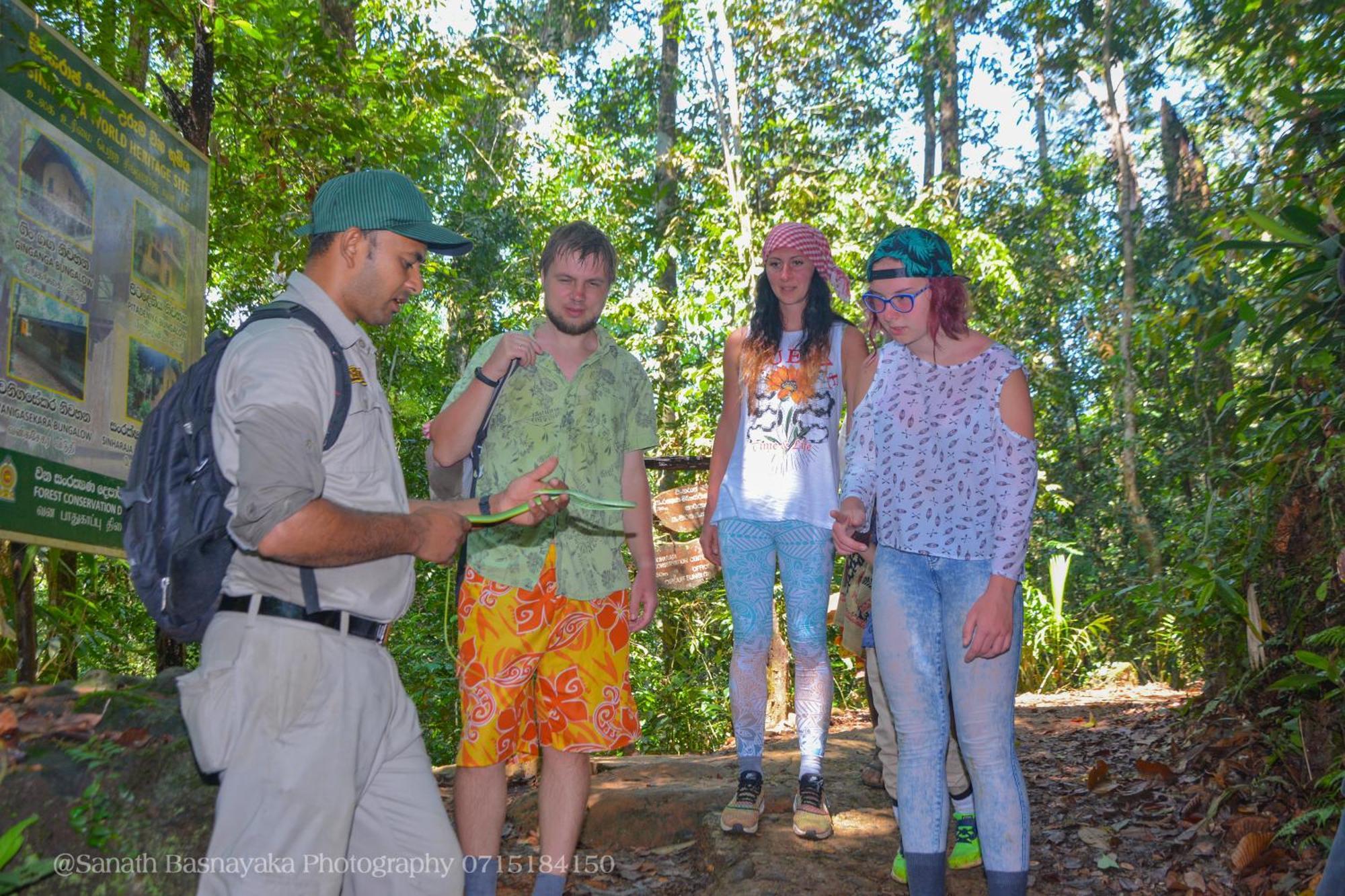 Rainforest Holiday Inn Deniyaya Dış mekan fotoğraf