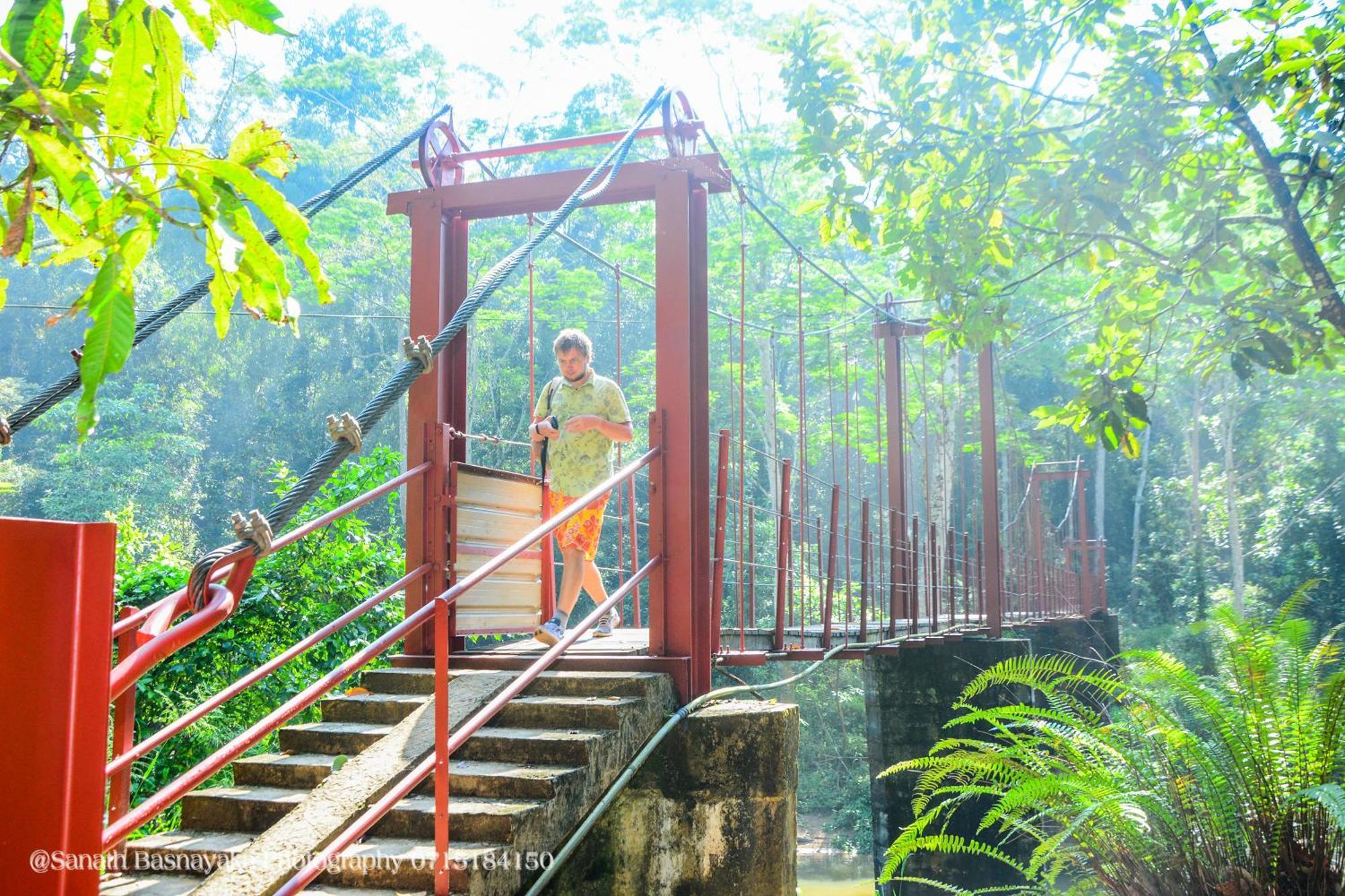 Rainforest Holiday Inn Deniyaya Dış mekan fotoğraf