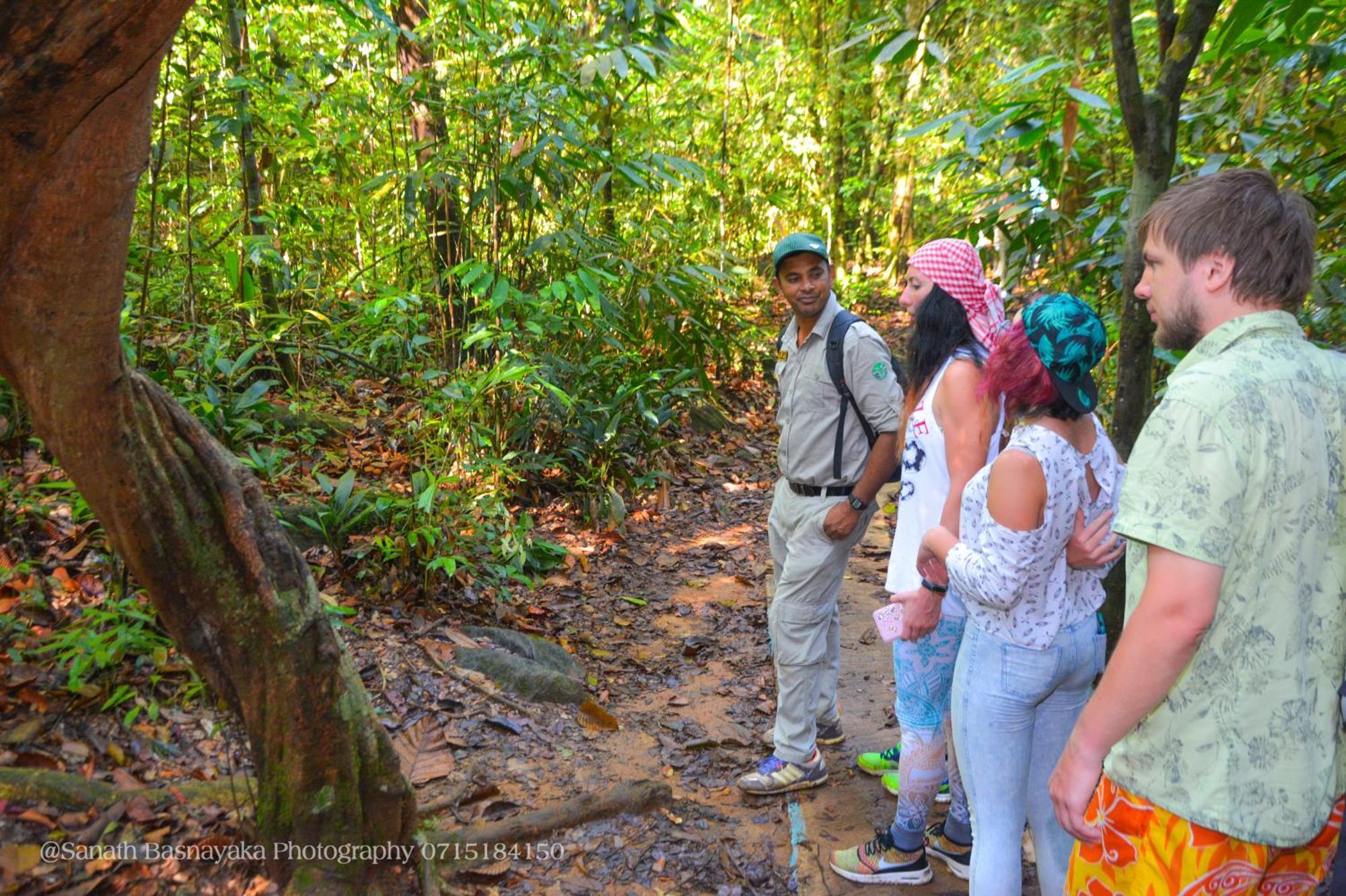 Rainforest Holiday Inn Deniyaya Dış mekan fotoğraf