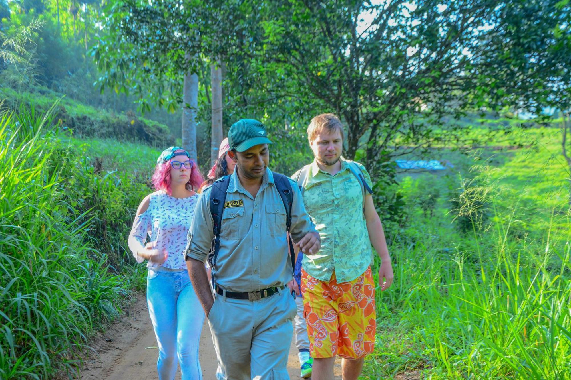 Rainforest Holiday Inn Deniyaya Dış mekan fotoğraf