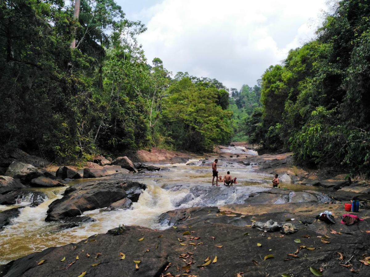 Rainforest Holiday Inn Deniyaya Dış mekan fotoğraf