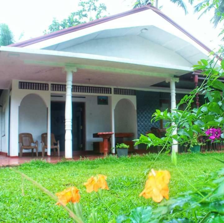 Rainforest Holiday Inn Deniyaya Dış mekan fotoğraf