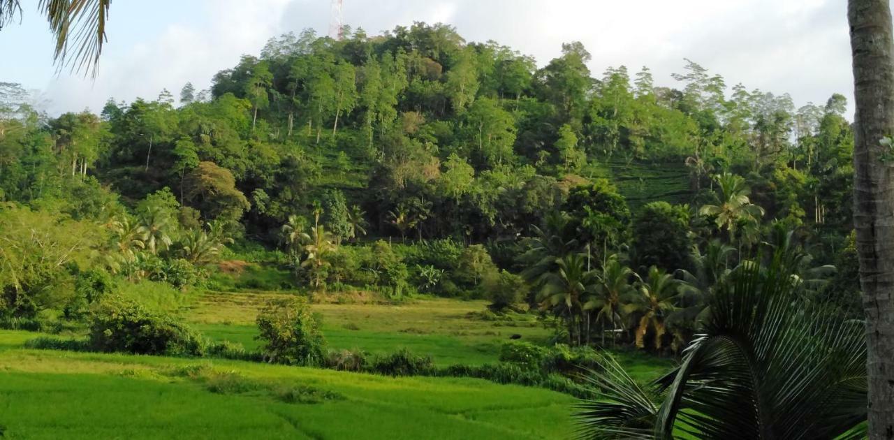 Rainforest Holiday Inn Deniyaya Dış mekan fotoğraf