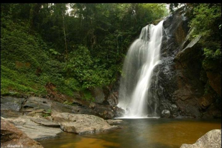 Rainforest Holiday Inn Deniyaya Dış mekan fotoğraf
